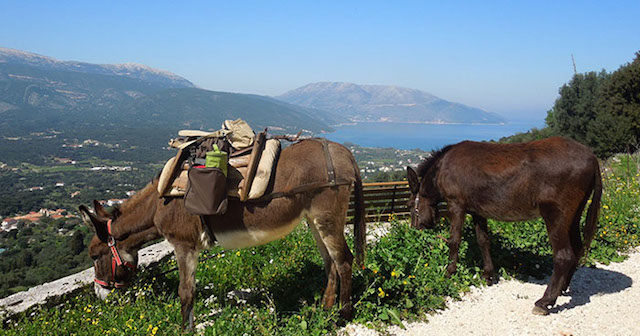 kefalonia motorcycle rentals rent a scooter kefalonia atv rentals kefalonia